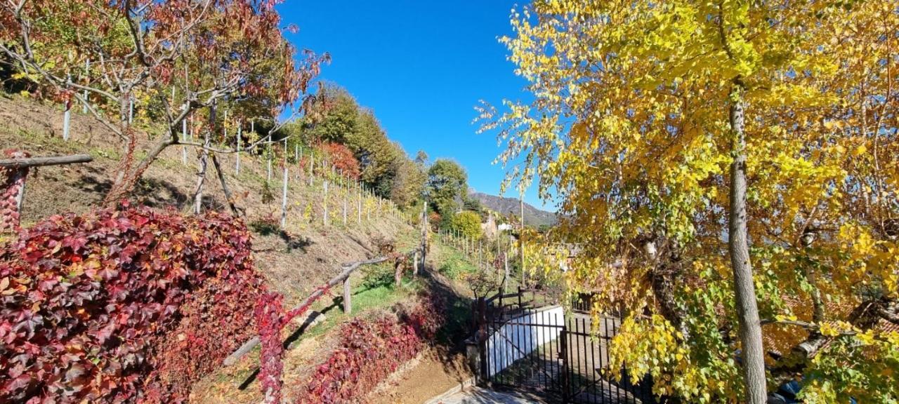 Chalet Sophie - Luxury Chalet Roletto Bagian luar foto