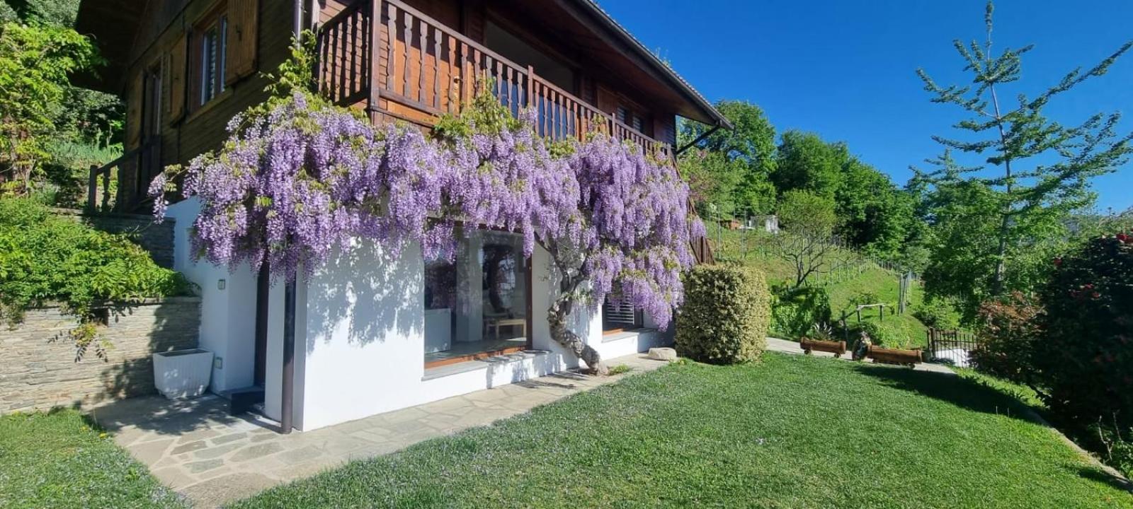 Chalet Sophie - Luxury Chalet Roletto Bagian luar foto